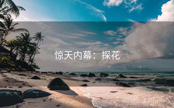 惊天内幕：探花