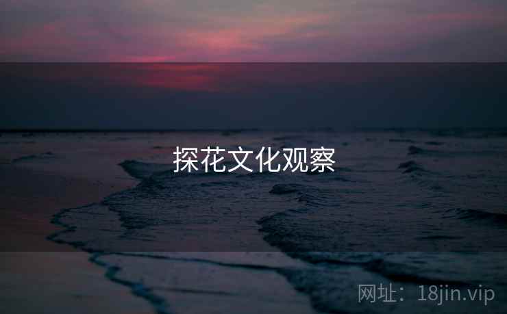 探花文化观察  第2张