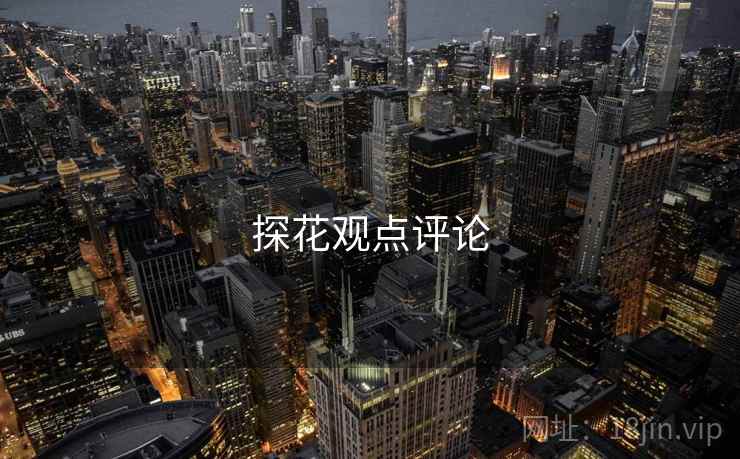 探花观点评论