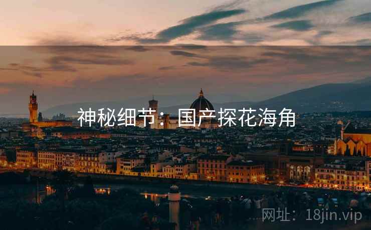 神秘细节：国产探花海角