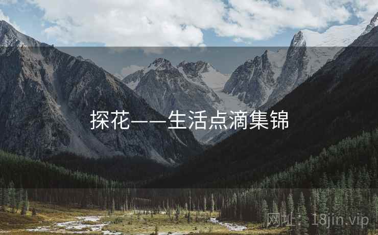 探花——生活点滴集锦