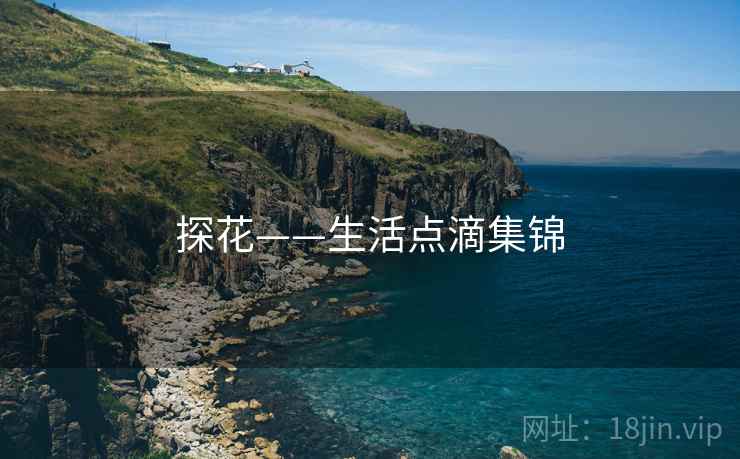 探花——生活点滴集锦