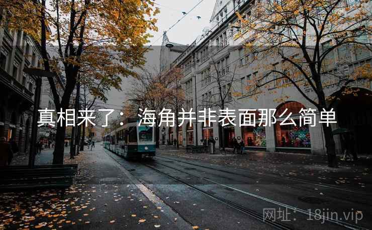 真相来了：海角并非表面那么简单