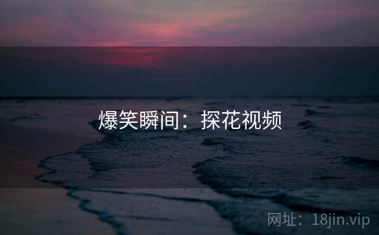 爆笑瞬间：探花视频