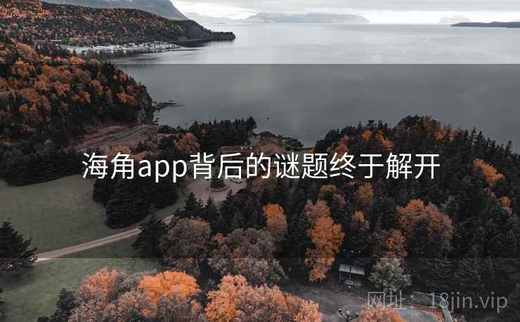 海角app背后的谜题终于解开