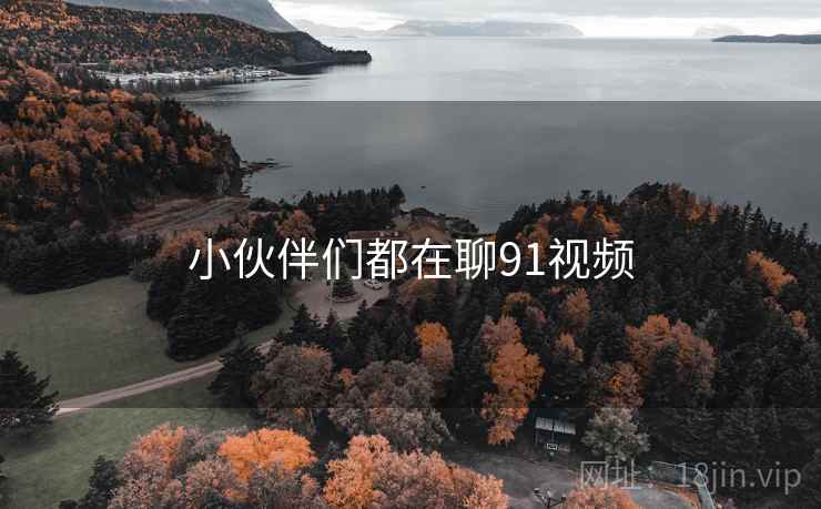 小伙伴们都在聊91视频