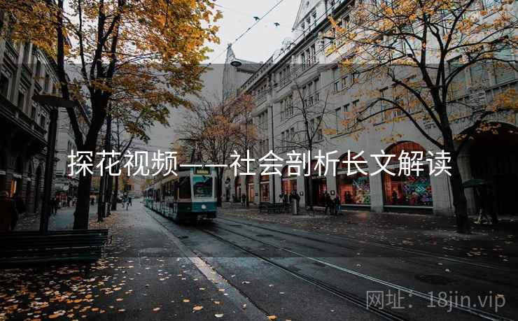 探花视频——社会剖析长文解读