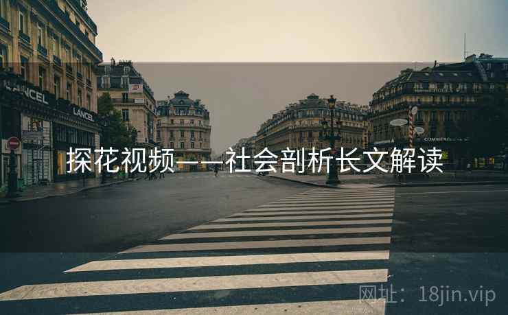 探花视频——社会剖析长文解读