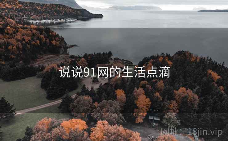 说说91网的生活点滴