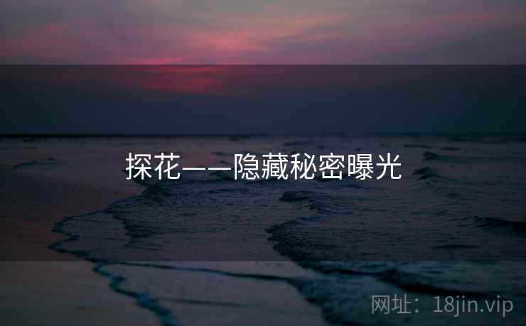 探花——隐藏秘密曝光