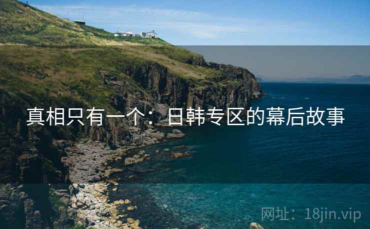 真相只有一个：日韩专区的幕后故事