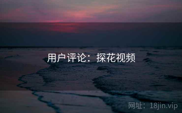 用户评论：探花视频