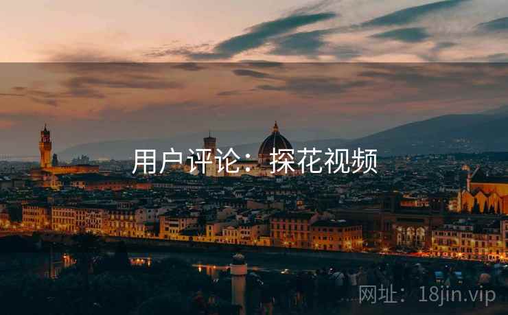 用户评论：探花视频