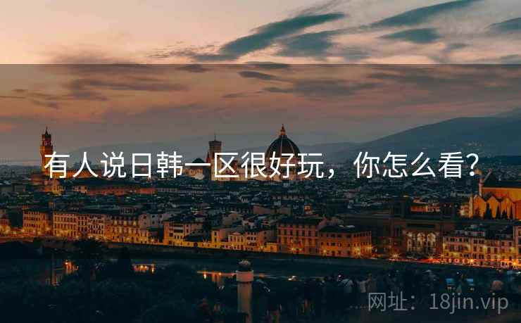 有人说日韩一区很好玩，你怎么看？