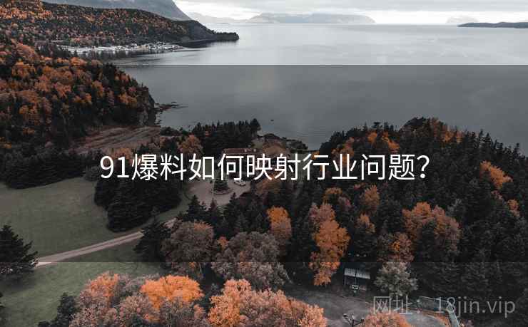 91爆料如何映射行业问题？