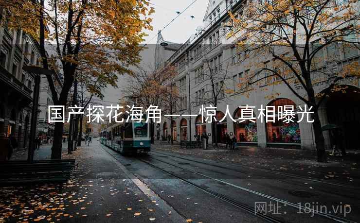 国产探花海角——惊人真相曝光