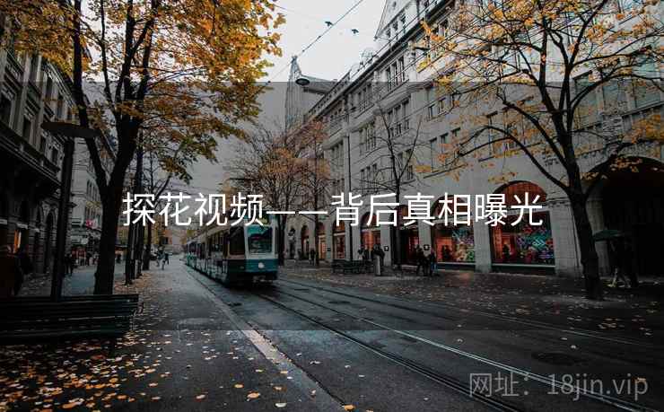 探花视频——背后真相曝光