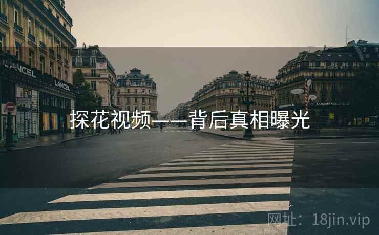 探花视频——背后真相曝光