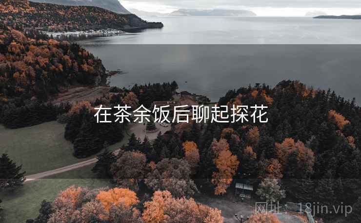 在茶余饭后聊起探花