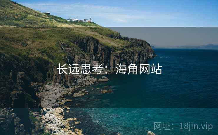 长远思考：海角网站