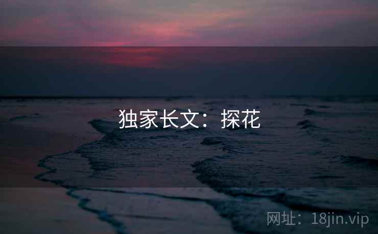 独家长文：探花