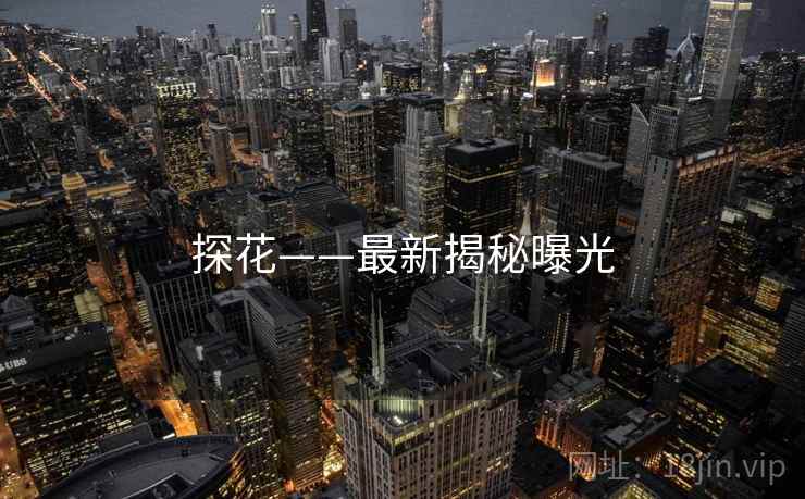 探花——最新揭秘曝光