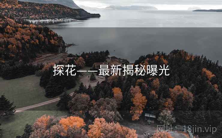 探花——最新揭秘曝光