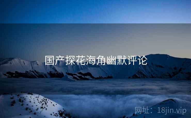 国产探花海角幽默评论