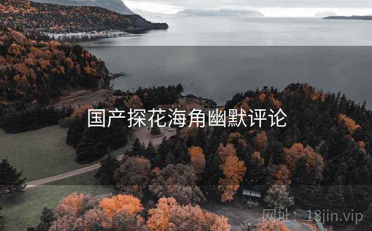 国产探花海角幽默评论