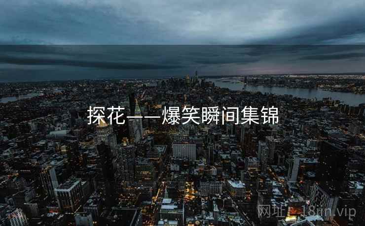 探花——爆笑瞬间集锦