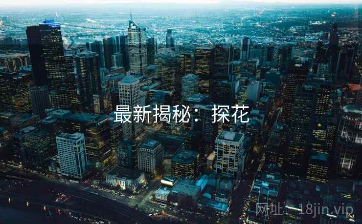 最新揭秘:探花