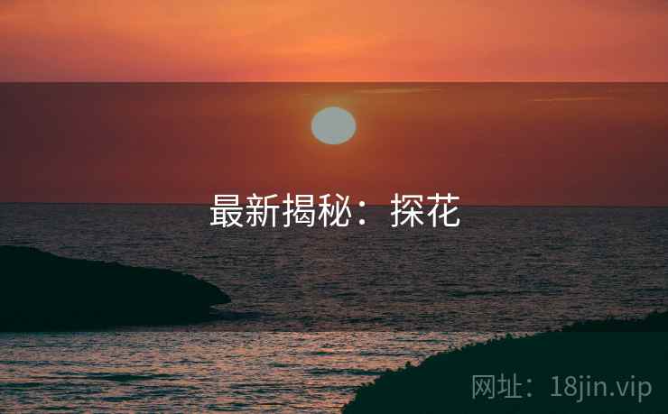 最新揭秘:探花