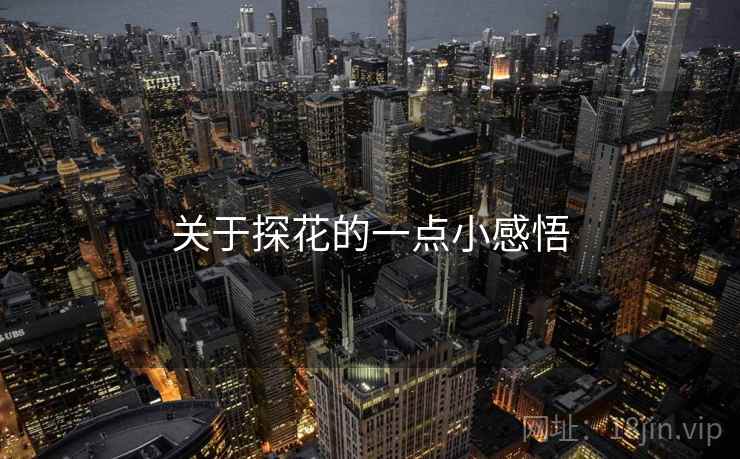 关于探花的一点小感悟