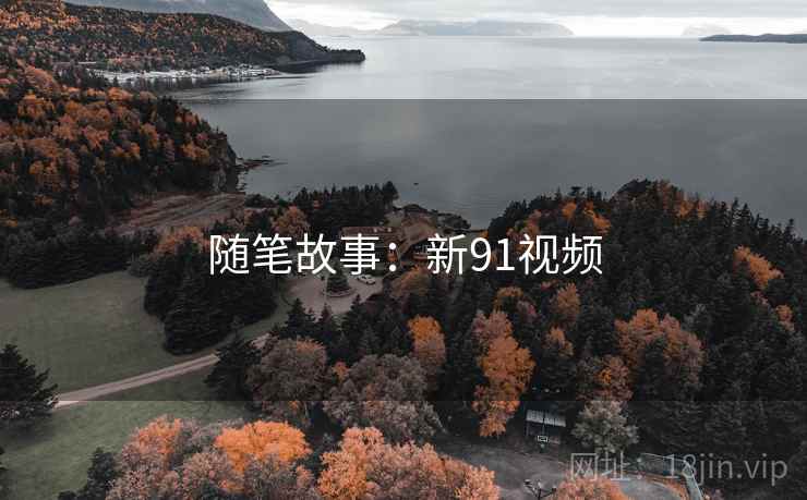 随笔故事:新91视频
