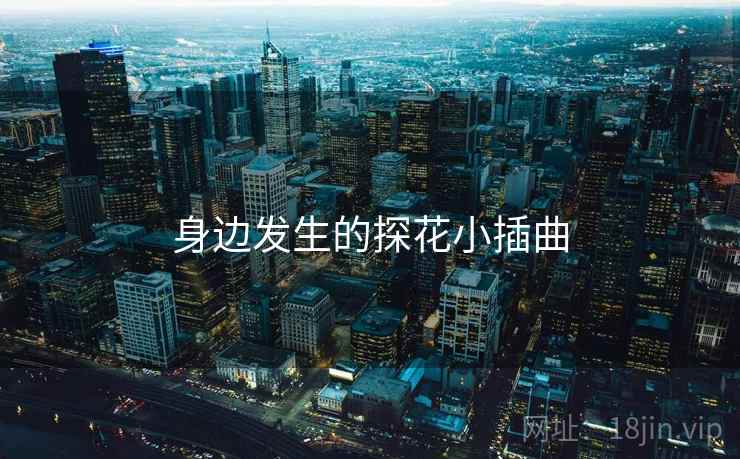 身边发生的探花小插曲
