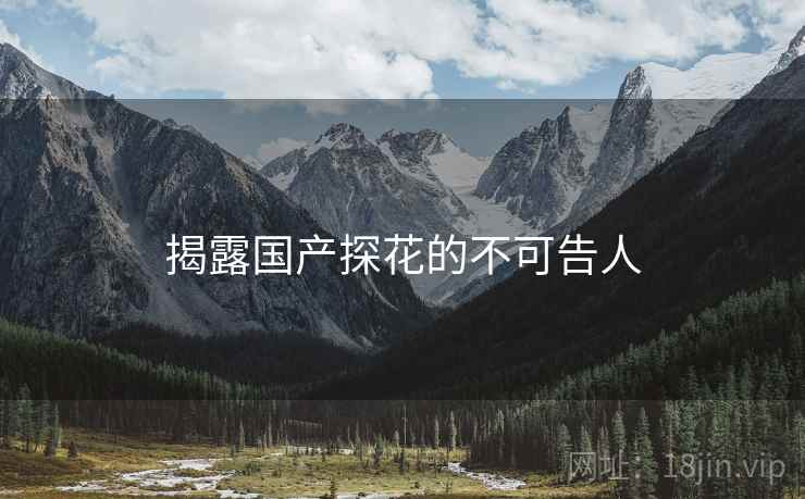 揭露国产探花的不可告人