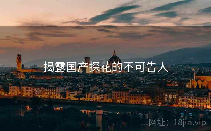 揭露国产探花的不可告人