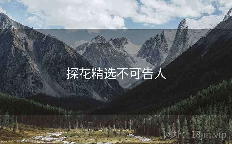 探花精选不可告人