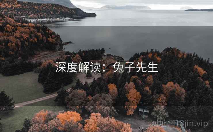 深度解读:兔子先生  第1张 深度解读:兔子先生  第1张