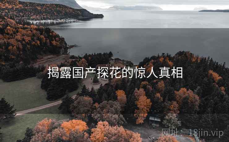 揭露国产探花的惊人真相