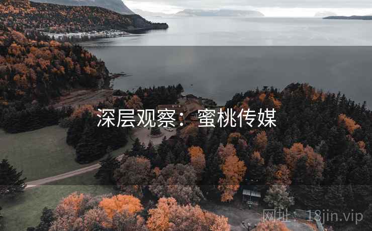 深层观察:蜜桃传媒