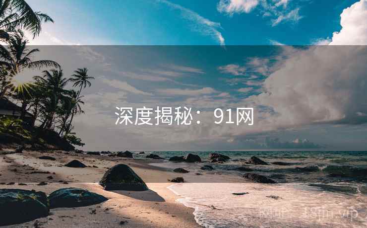 深度揭秘:91网