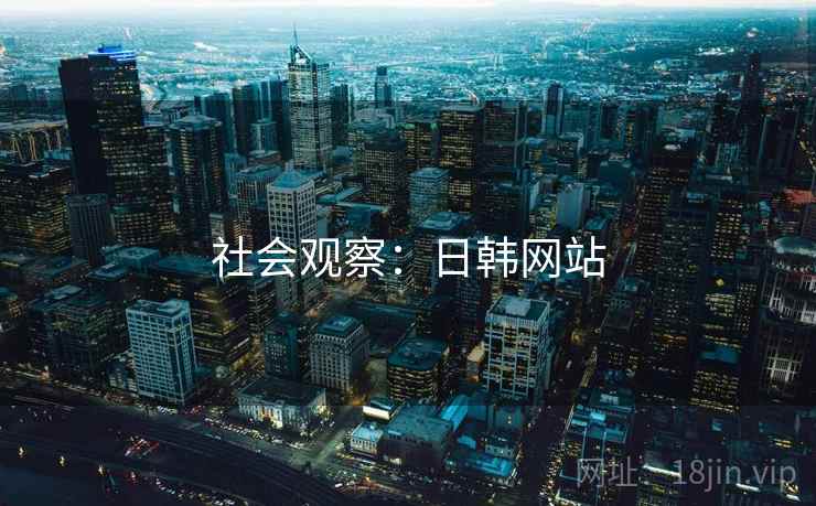 社会观察:日韩网站