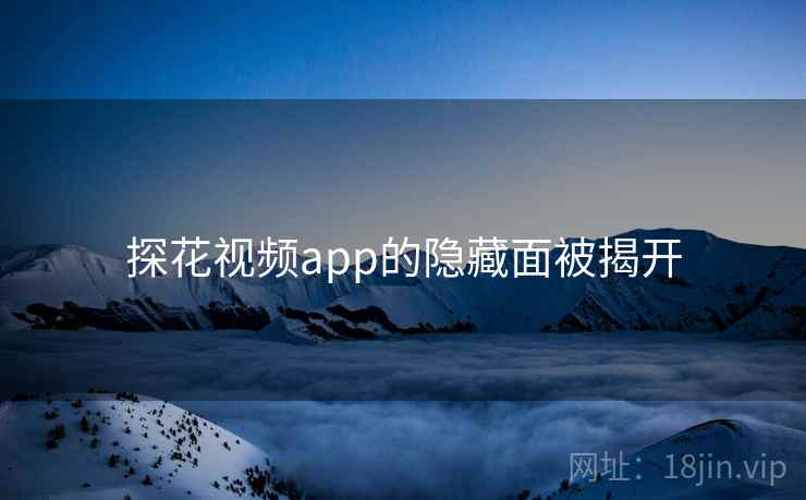 探花视频app的隐藏面被揭开