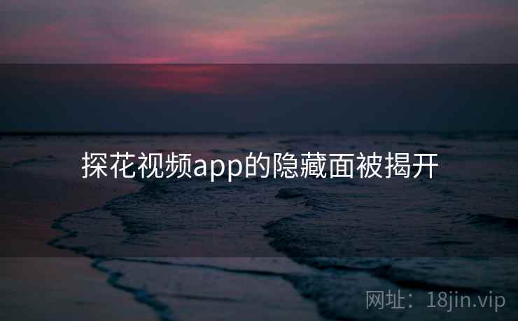 探花视频app的隐藏面被揭开