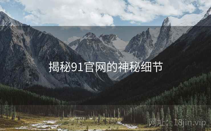 揭秘91官网的神秘细节