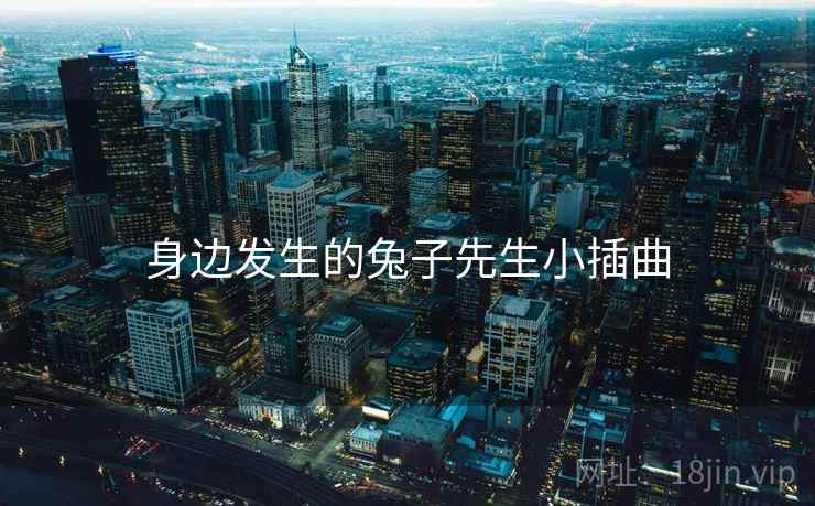身边发生的兔子先生小插曲