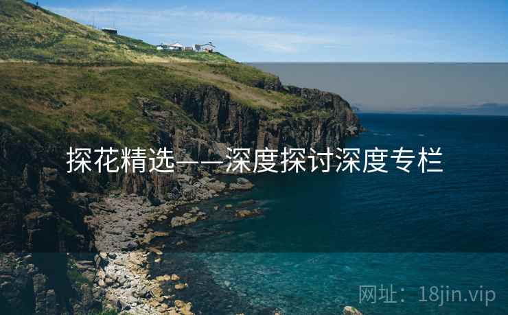 探花精选——深度探讨深度专栏
