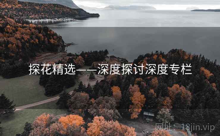 探花精选——深度探讨深度专栏