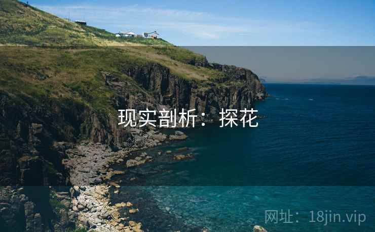 现实剖析:探花